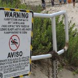 At a local beach these children play in runoff, oblivious to its potential health hazards.
