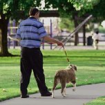 Bacteria from pet waste is carried into our watersheds and the ocean by urban runoff.