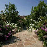 Pink ivy geranium and white 'Iceberg" roses populate the lush low-water-use landscape of this Shady Canyon home.