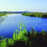 San Joaquin Marsh & Wildlife Sanctuary
