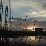 Sunset at the San Joaquin Marsh & Wildlife Sanctuary
