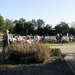 Diners enjoy their dinner in the idyllic setting of the marsh's meadow.