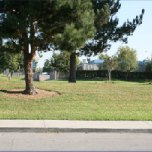 School yards