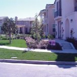 Homeowner Association maintained front yards