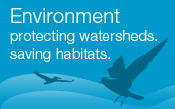 Environment