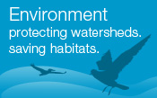 Environment