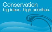 Conservation