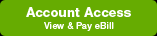 Account Access