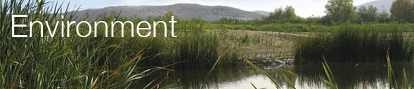 By The Book. Environmental Review. 