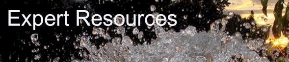 Expert Resources. Professional Insights.