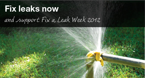 Fix a leak now