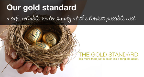Gold Standard