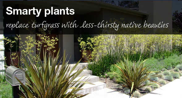 Smarty Plants