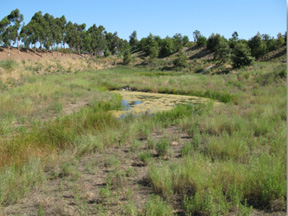 Lower Eastfoot NTS site