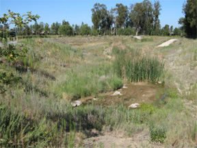 Orchard Meadow NTS Site Orchard Meadow NTS site