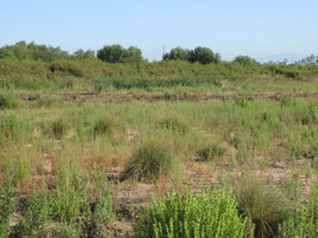 Quail Springs NTS site