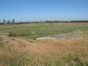 Trabuco Meadow NTS Site Trabuco NTS site