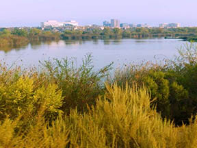 San Joaquin Marsh NTS site