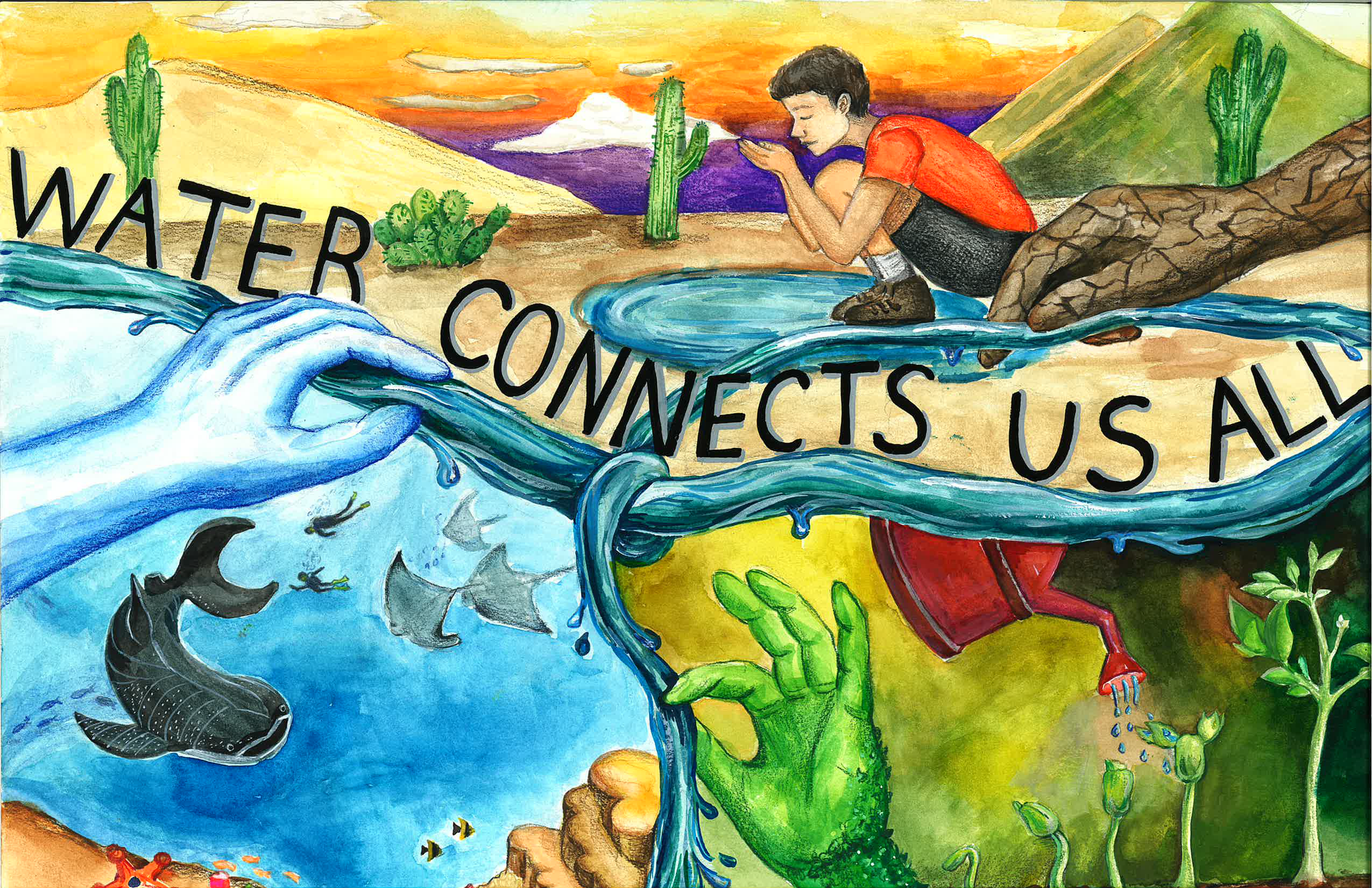 Student posters make a splash in annual contest