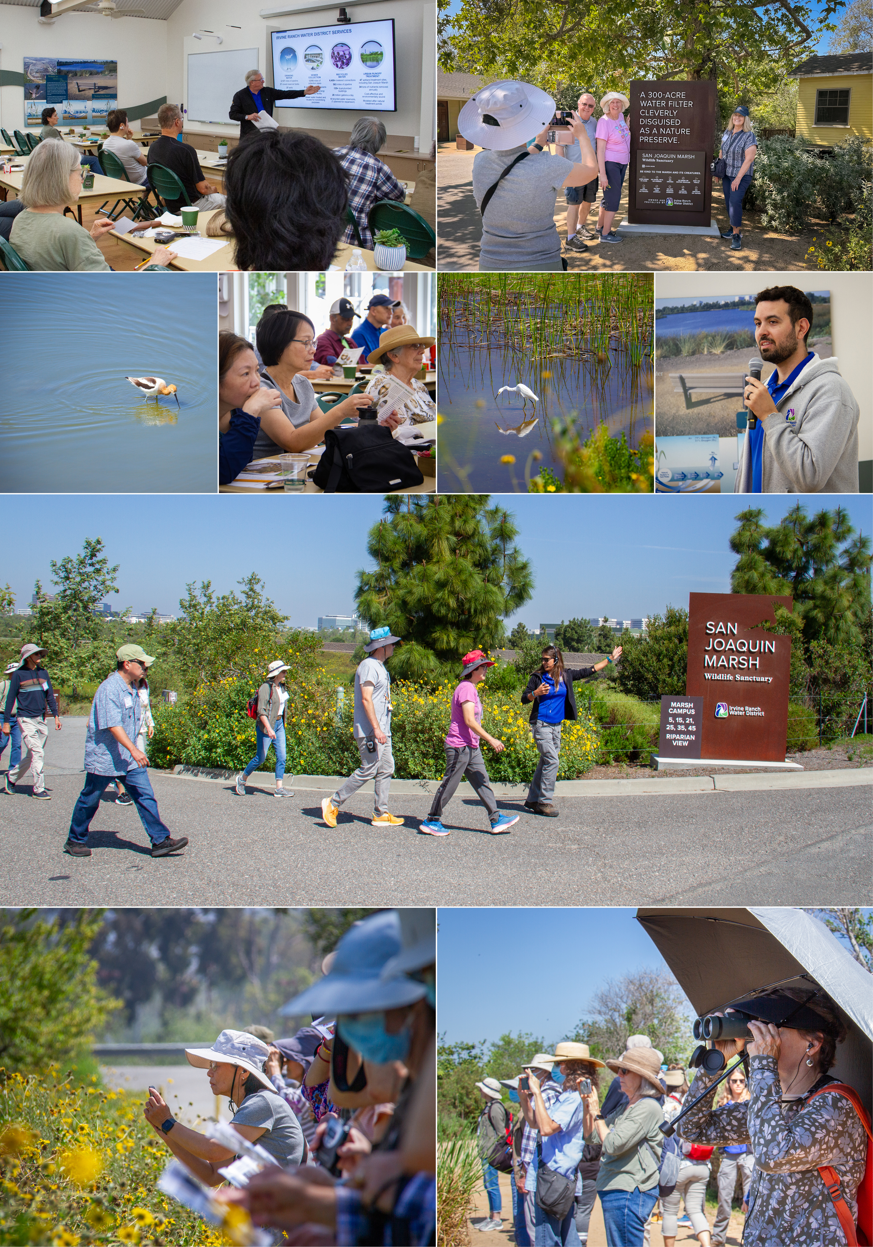 Marsh Mar2026 Collage