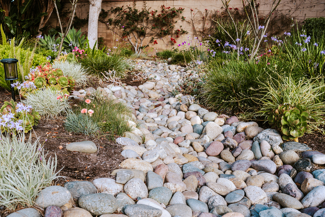 Curb your rainwater, filter water runoff