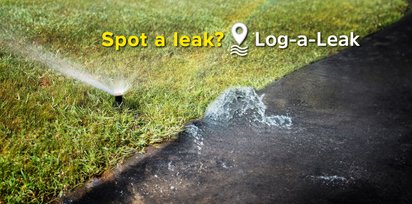 Log-a-Leak