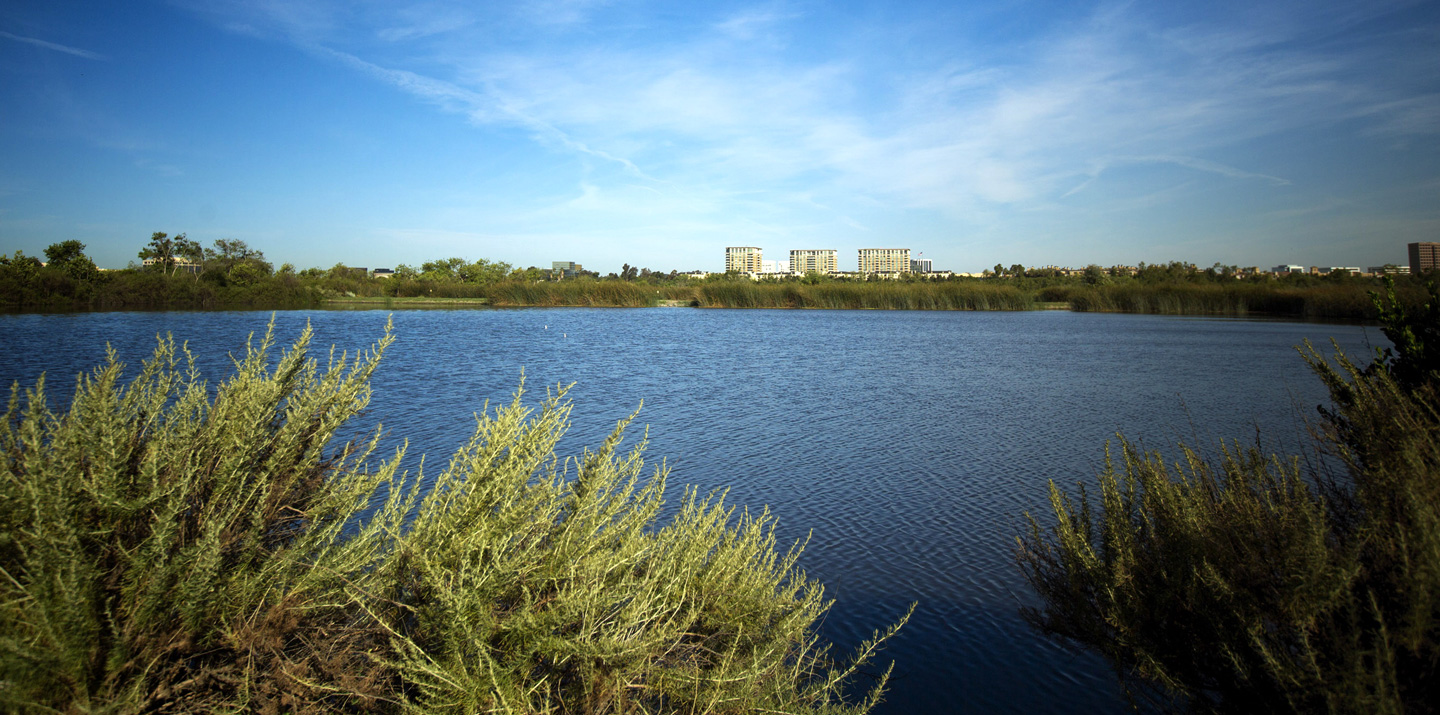 San Joaquin Marsh