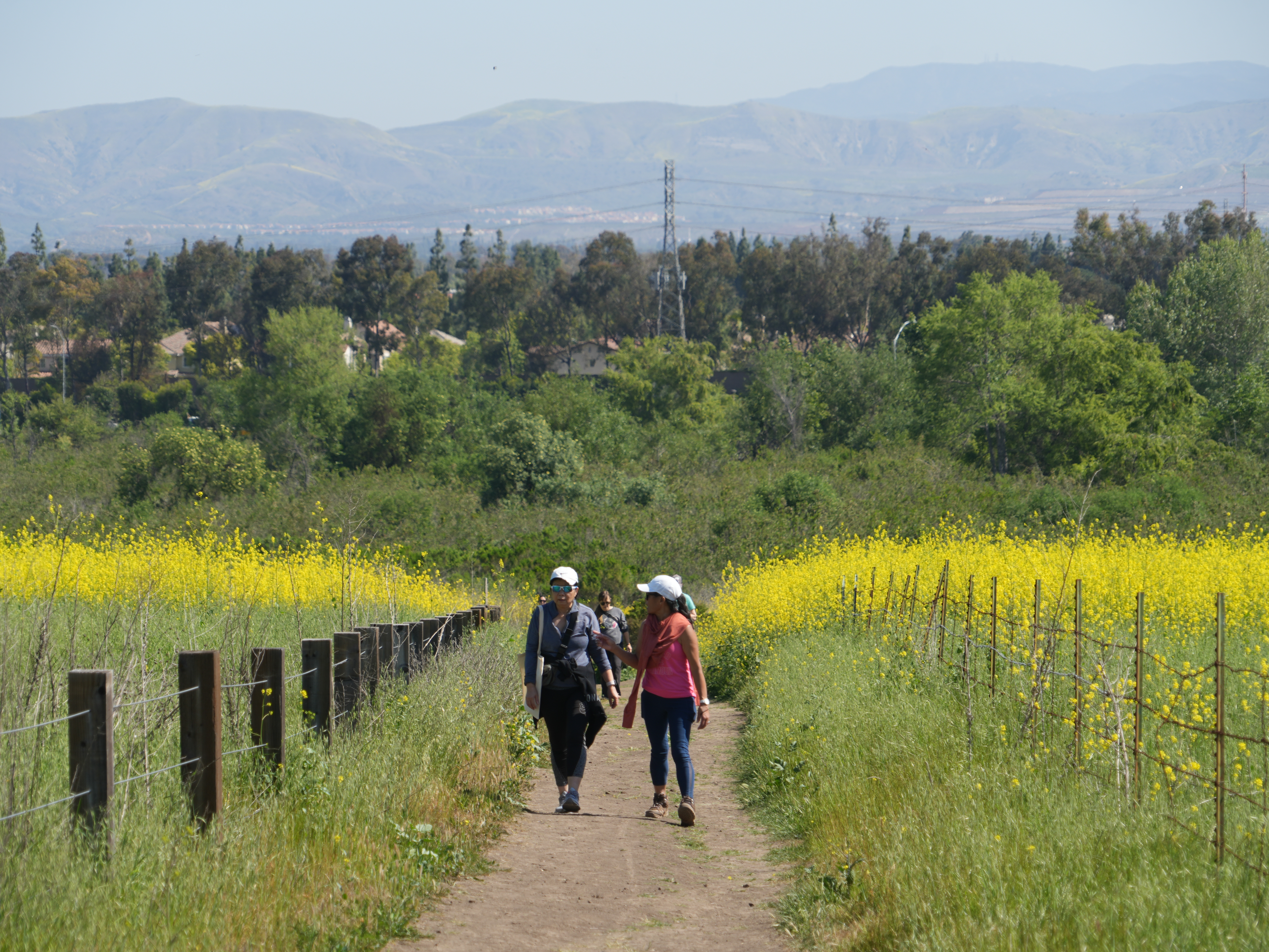 54466692728 29a7d5301f O