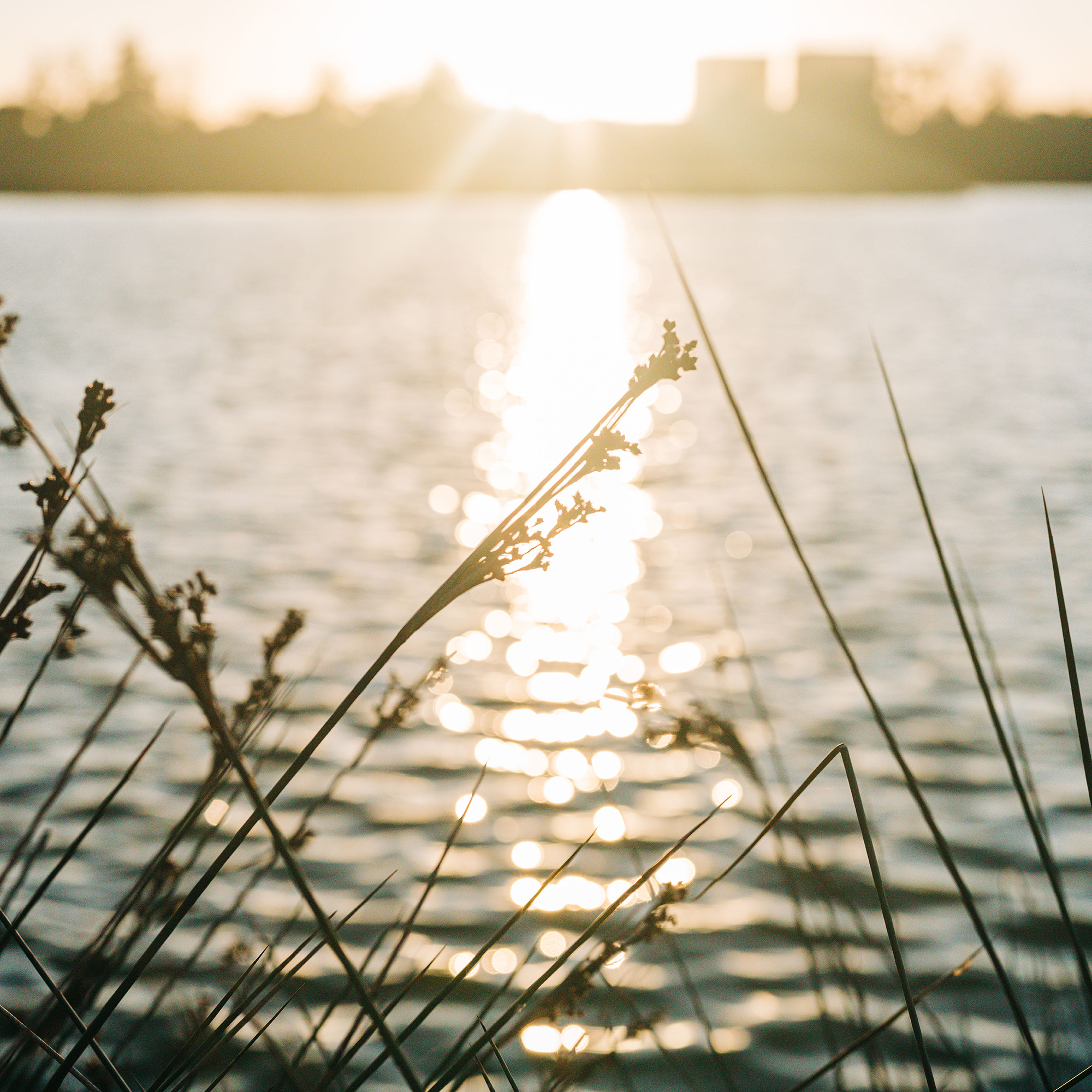 PhotoWalkMarsh