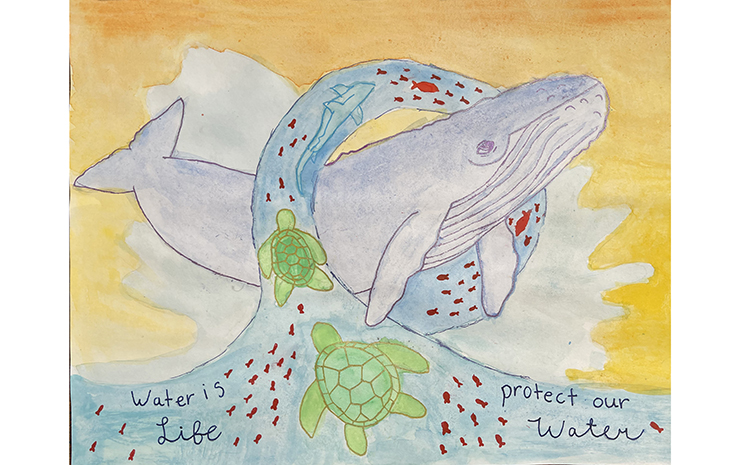 Water Awareness Poster Contest Gallery