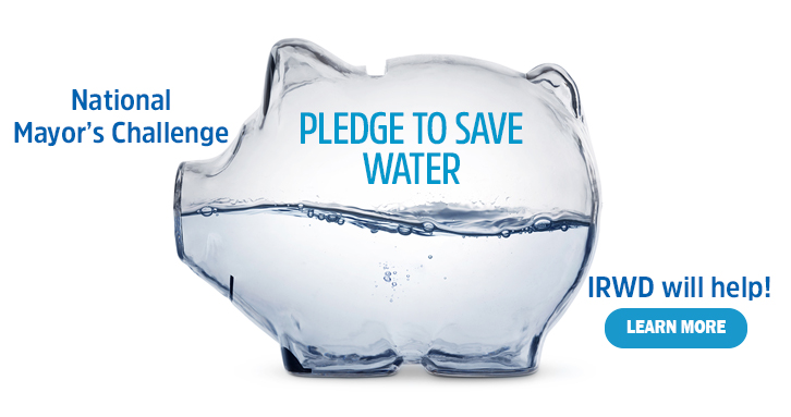 pledge-to-save-water-and-make-your-city-proud