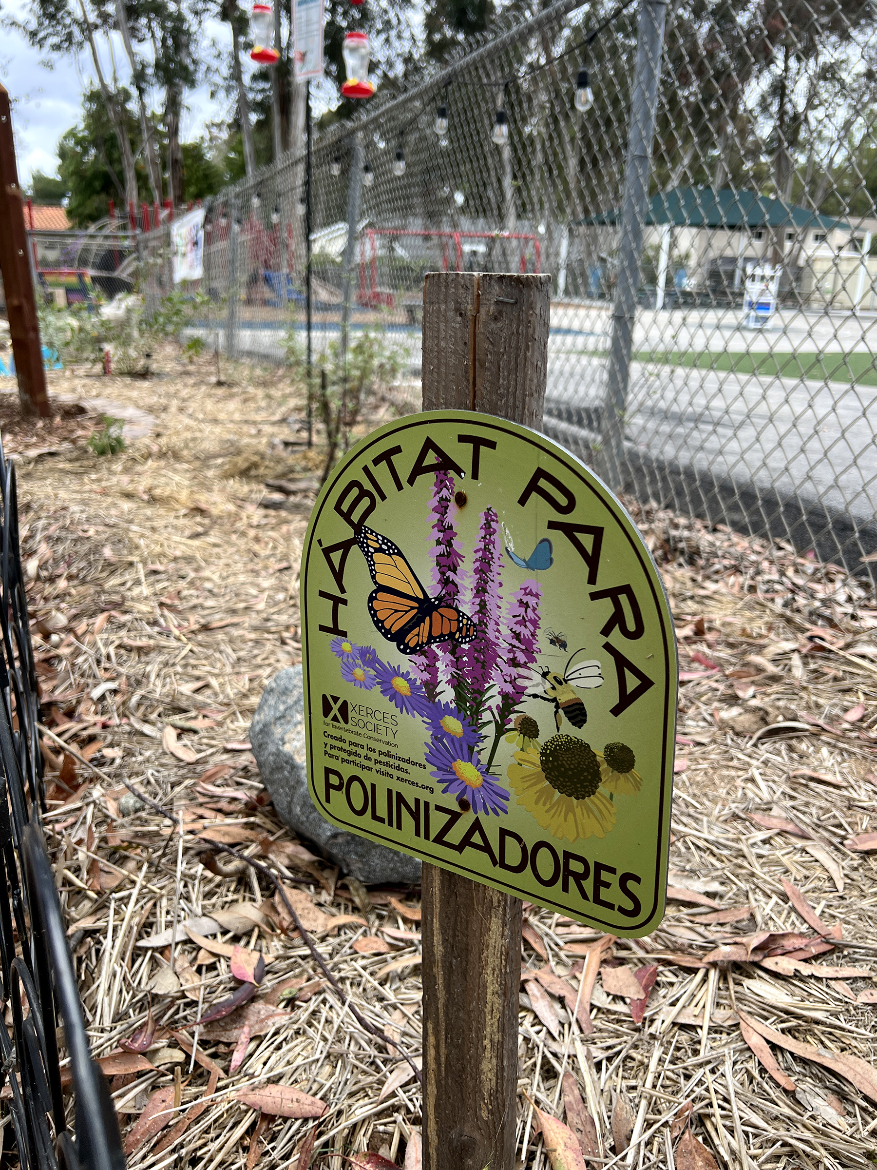 Santiago STEAM Magnet Elementary School