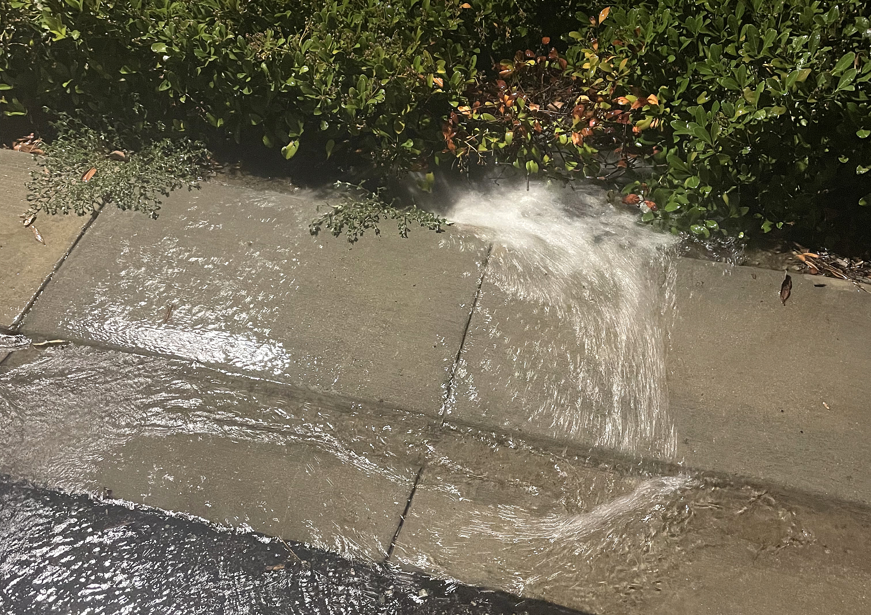 What to do if you spot a leak in your neighborhood