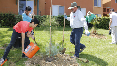 Shadetree%20UCI%20planting