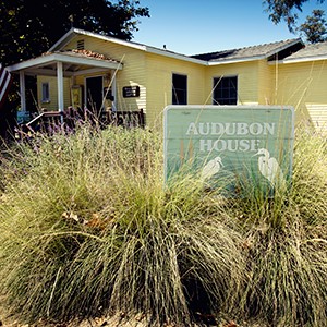 audobon-house