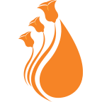 CALscape-orange-silhouette-icon