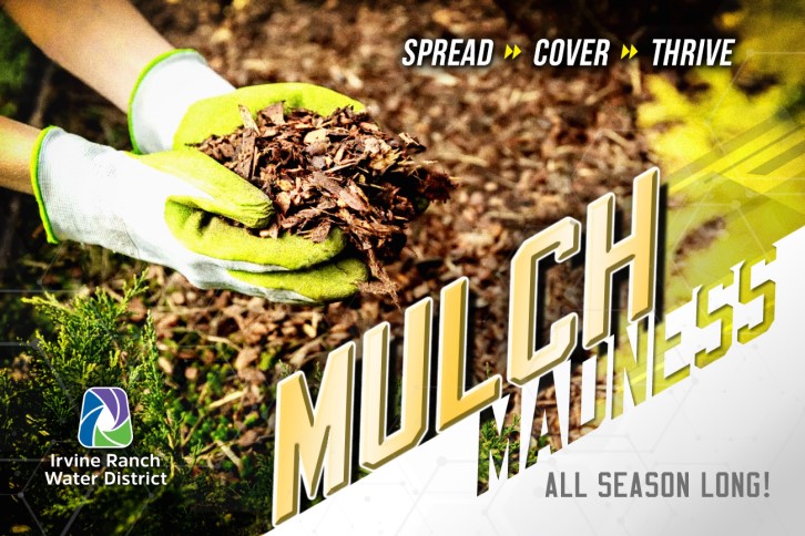 mulch madness 022222