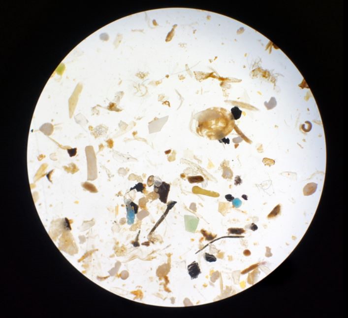 microplastics