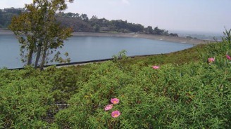 san joaquin reservoir 328x184