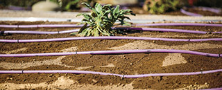 320x130 2017 drip irrigation