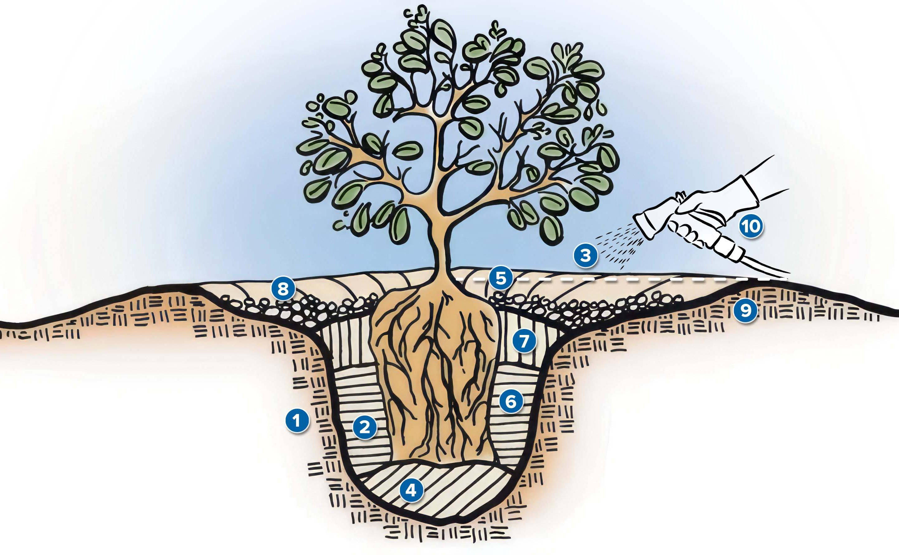 Native Planting Guide   new