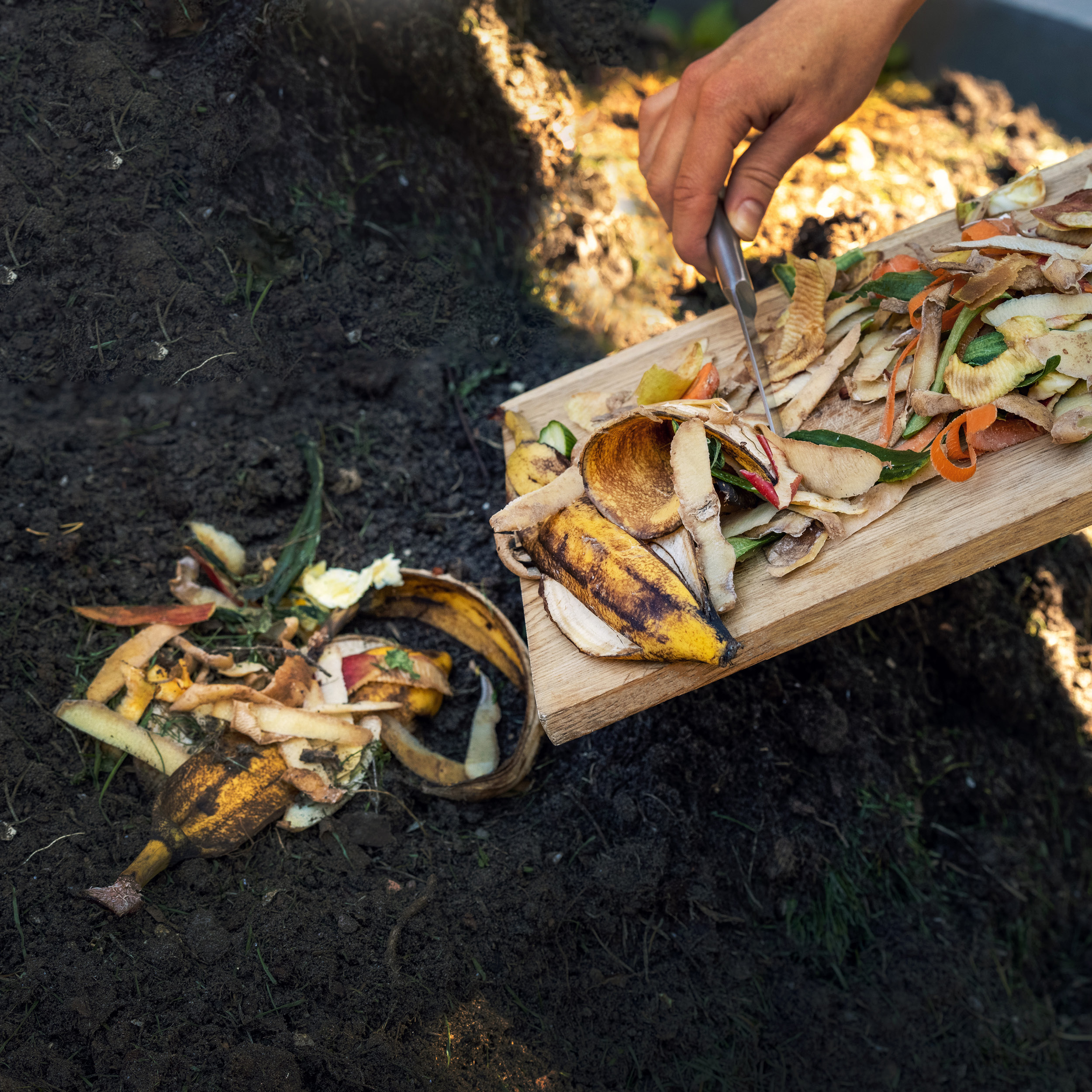 Compost 101 Workshop 600px