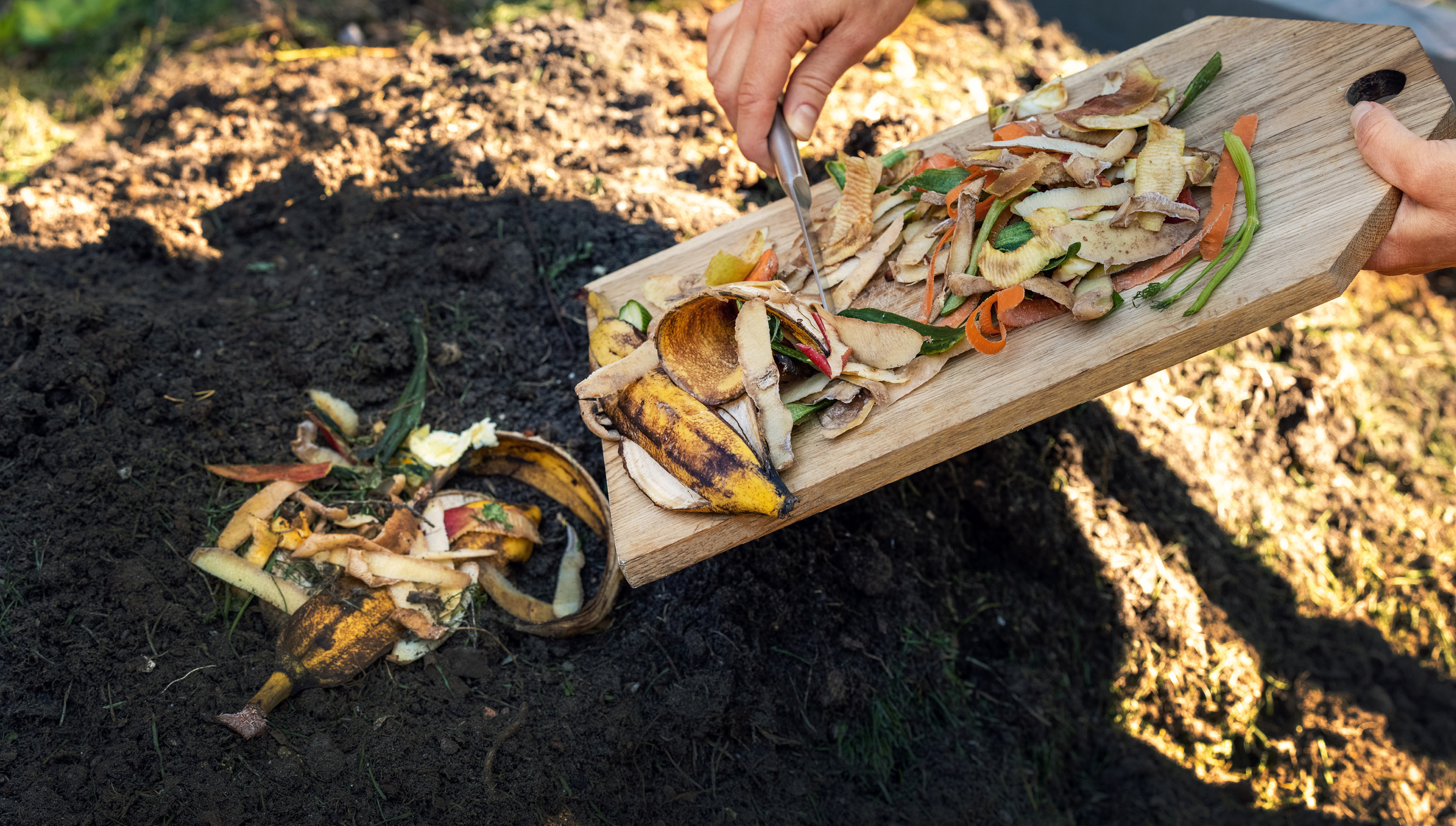 Compost 101 Workshop Rectangle