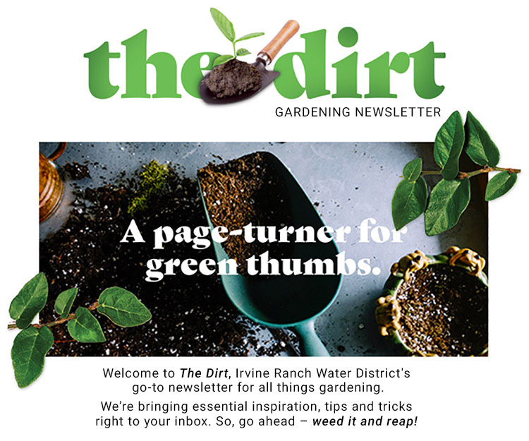 theDirt titleimage 750x560 v3