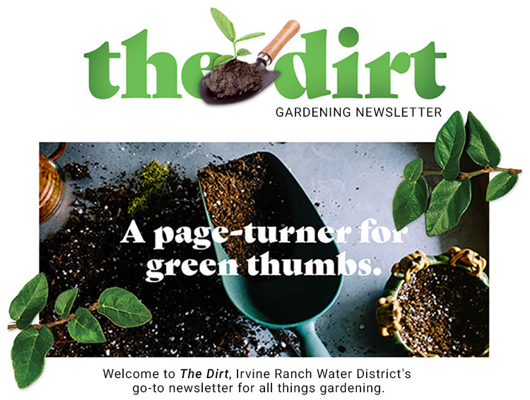 theDirt titleimage 750x560 v3