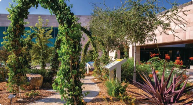 Garden path lined with vine-covered arches, desert plants, and a modern building in the background.