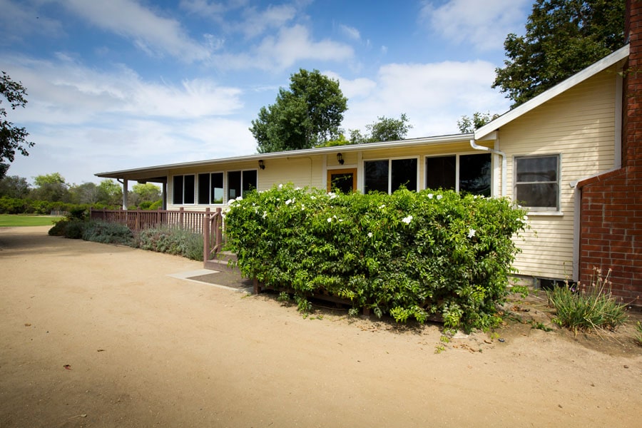 Single-story beige house with a long front porch, large windows, and dense green shrubs in front.