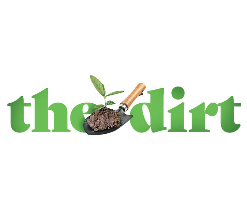 Logo for The Dirt featuring green lettering with a trowel holding soil and a sprouting plant.