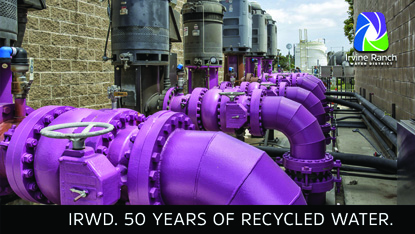 Purple recycled-water pipes and pumps in an industrial facility.