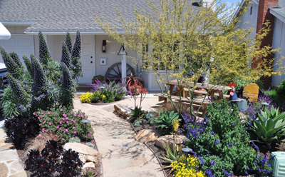Front yard garden with a winding stone path, colorful flowers, shrubs, and a small tree near a house.